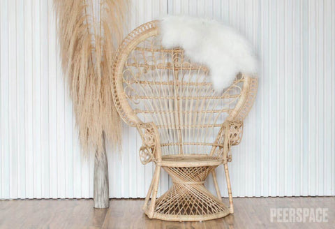 Wicker Throne And Dried Matching Vase