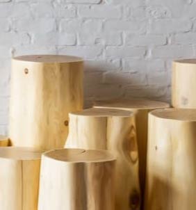 Wooden Stumps